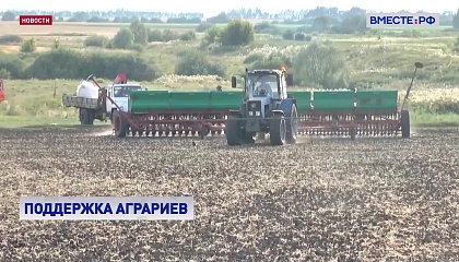 Сенаторы предложили Минсельхозу ввести мораторий на банкротство ростовских и краснодарских фермеров