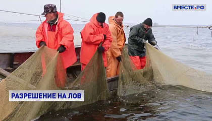 В России в 2022 году упростят получение разрешений на вылов рыбы 