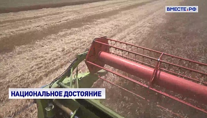 Сенаторам удалось выстроить «законодательный каркас» для сохранения сельхозземель, заявил Александр Двойных