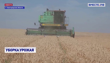 В большинстве регионов страны урожайность зерновых превышает прошлогодние показатели