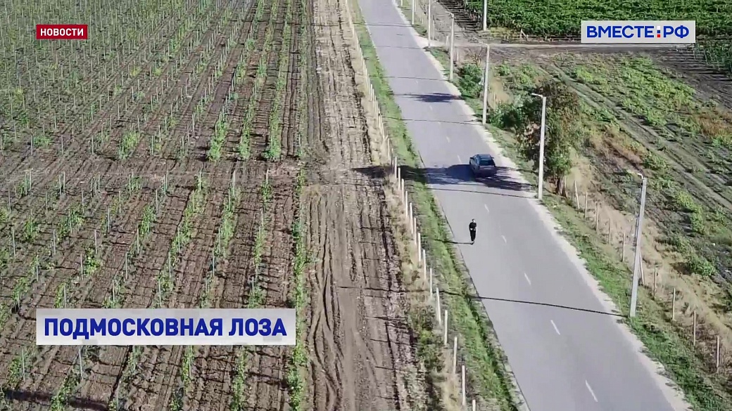 Local video