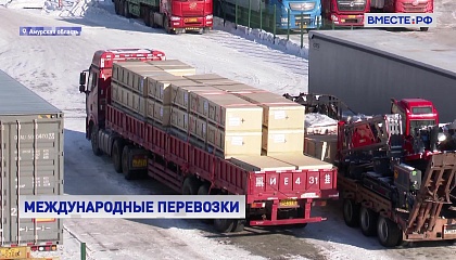 Сенатор Шейкин призвал задуматься о трансформации международных перевозок в будущем