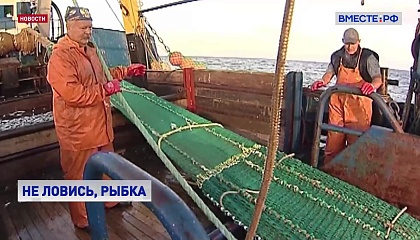 В СФ поддержали запрет для Великобритании на вылов рыбы в российской зоне Баренцева моря
