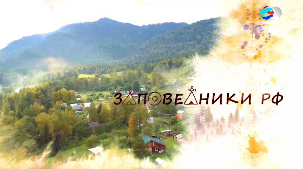 Local video
