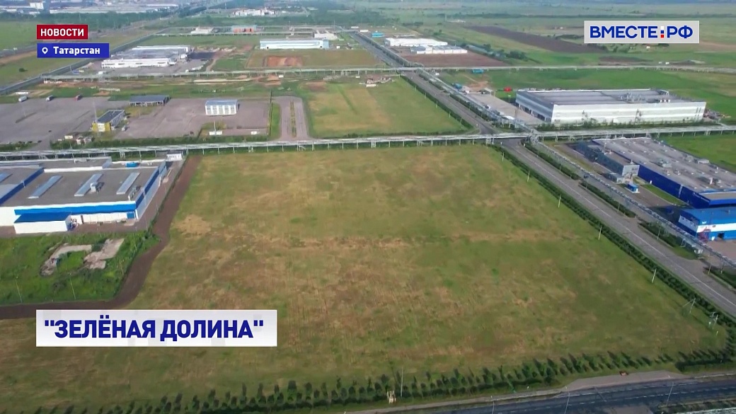 Local video