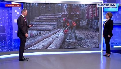 Переработка древесных доходов решит многие проблемы в лесной отрасли, считает сенатор Гигель