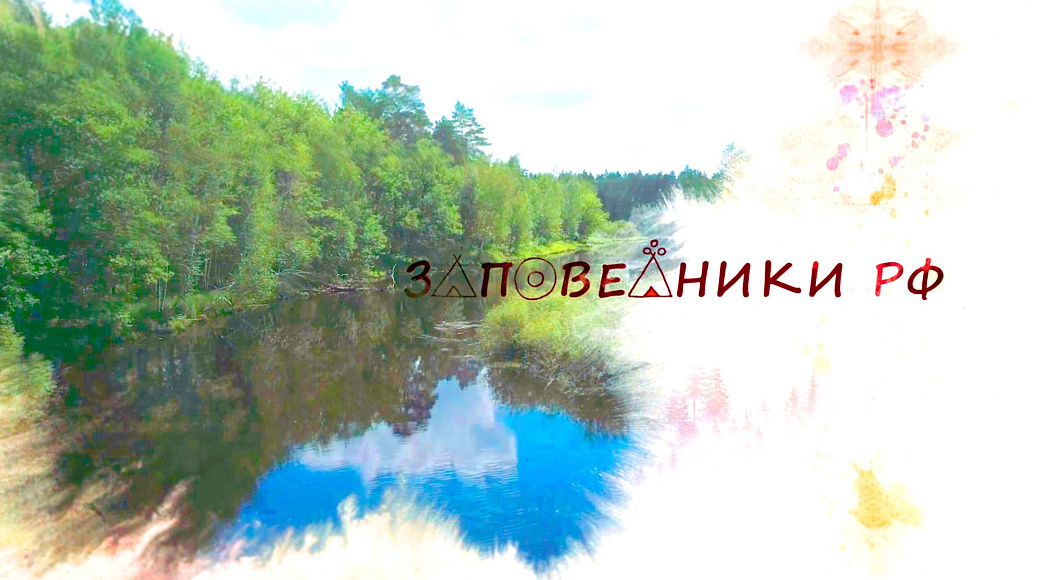 Local video