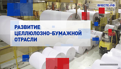 Специальный репортаж. Развитие целлюлозно-бумажной отрасли 