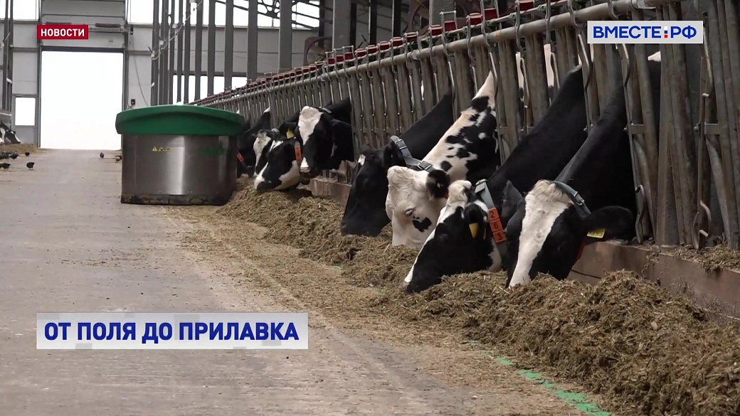 Local video