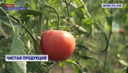 РЕПОРТАЖ: От мечты к успеху