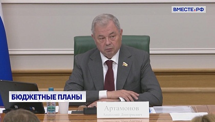Профильный комитет СФ поддержал корректировку бюджета на 2025 год