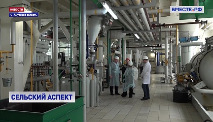 Развитие агропромышленного комплекса Амурской области обсудили в Сенате