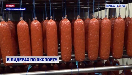 РЕПОРТАЖ: Мечта вегетарианца