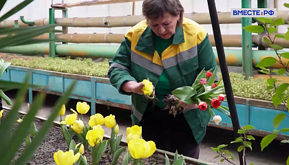 Сказано в Сенате. Андрей Епишин. Поддержка отечественных цветоводов 