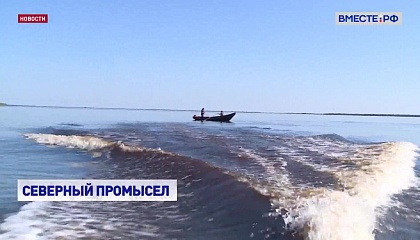 РЕПОРТАЖ: Северный промысел