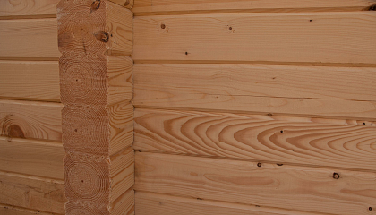 Россия берёт курс на массовое деревянное строительство