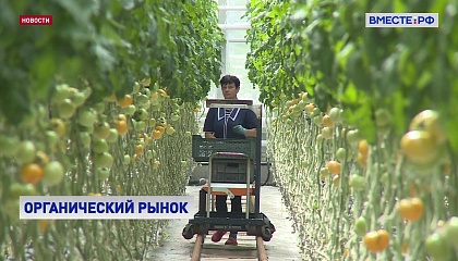 В России наградят лучших производителей органической продукции