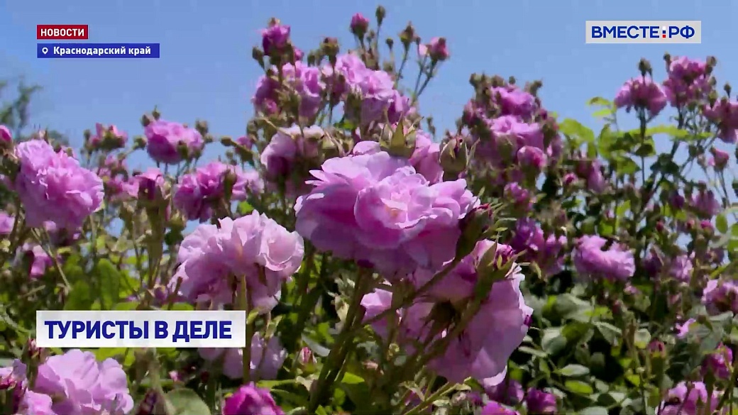 Local video