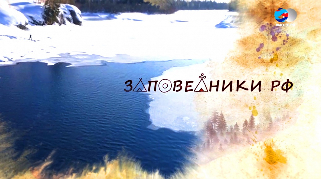 Local video