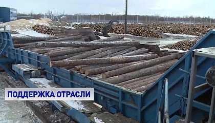 Сенаторы направят в Правительство предложения по поддержке лесной промышленности