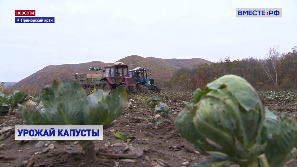 Local video