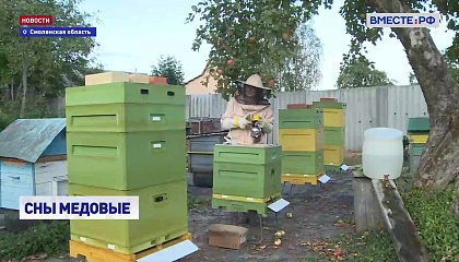 РЕПОРТАЖ: Медовые сны