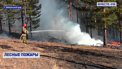 Пожарным удалось за сутки потушить горящие леса на площади почти в 10 тысяч га