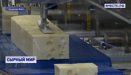 Сырный мир: работа завода «Виола» в Подмосковье