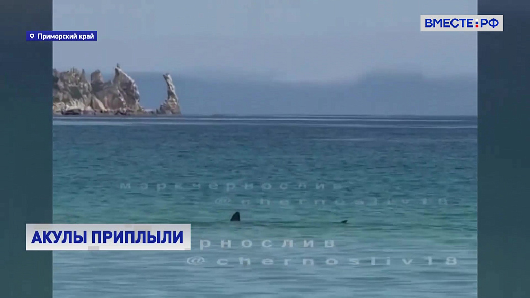 Local video