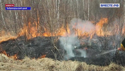 Более 20 уголовных дела возбудили в Забайкалье против поджигателей леса