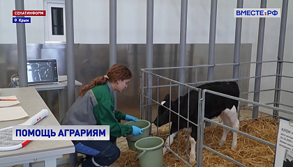 В Крыму и Севастополе молодые аграрии получат гранты до 250 тысяч рублей