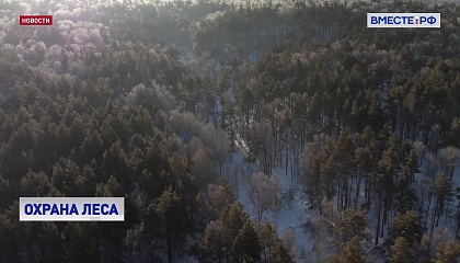 Меры, принятые для защиты лесов от пожаров, показали эффективность, заявил глава Рослесхоза