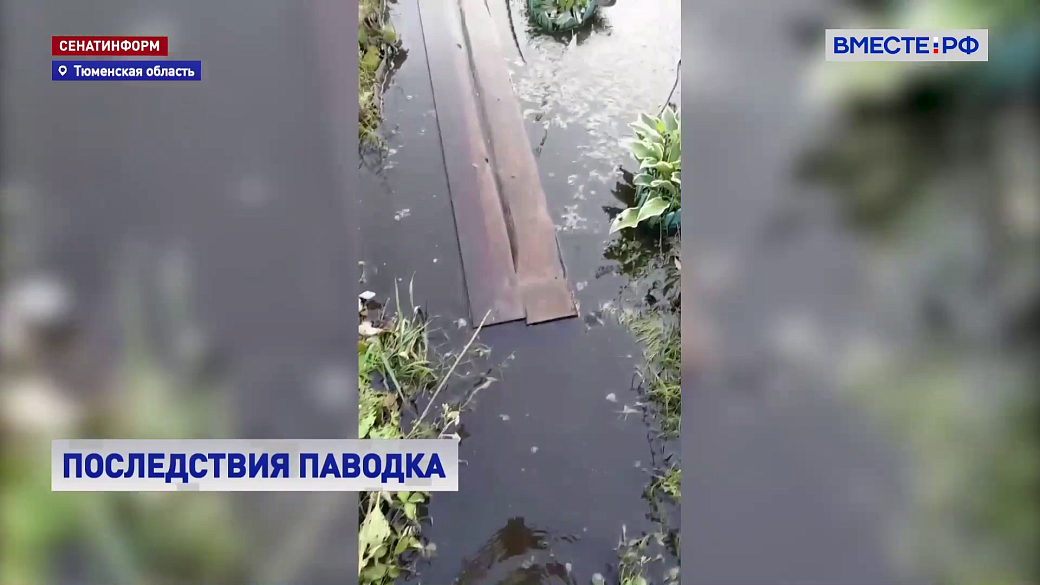 Local video