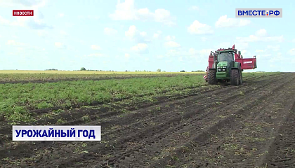 В этом году российские фермеры рассчитывают на хороший урожай