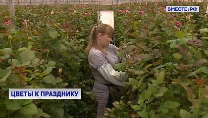 В Совете Федерации предлагают расширять поддержку цветоводов