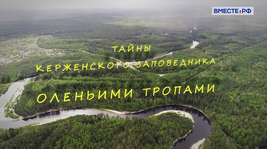 Local video