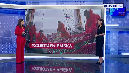 Сказано в Сенате. Елена Дягилева. Развитие рыбной отрасли России
