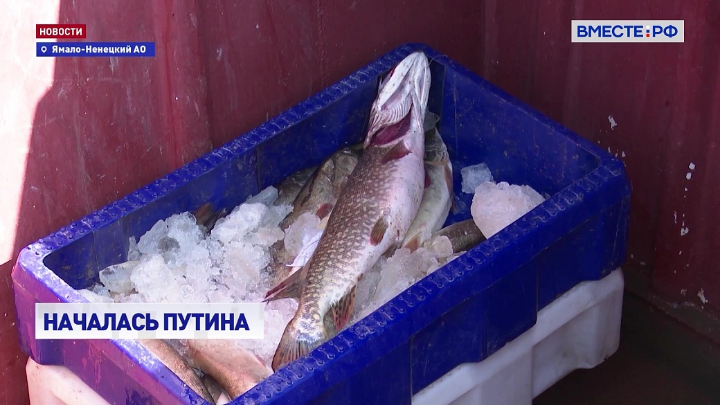 Local video