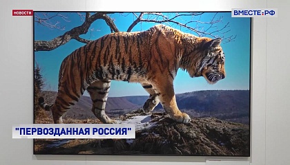 РЕПОРТАЖ: «Первозданная Россия»